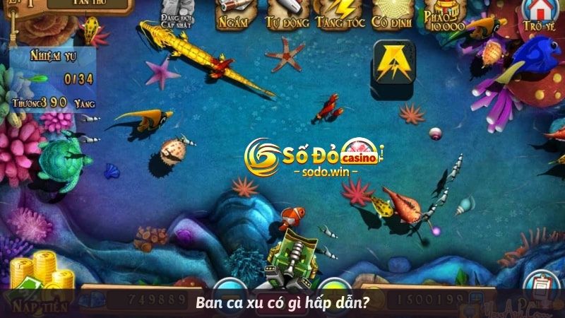 Ban ca xu có gì hấp dẫn?