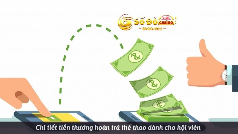 Chi tiết tiền thưởng hoàn trả thể thao dành cho hội viên