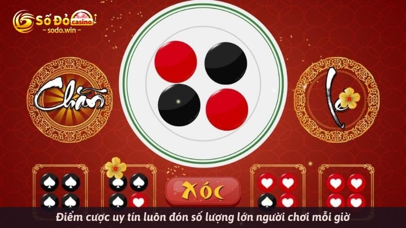 Điểm cược uy tín luôn đón số lượng lớn người chơi mỗi giờ